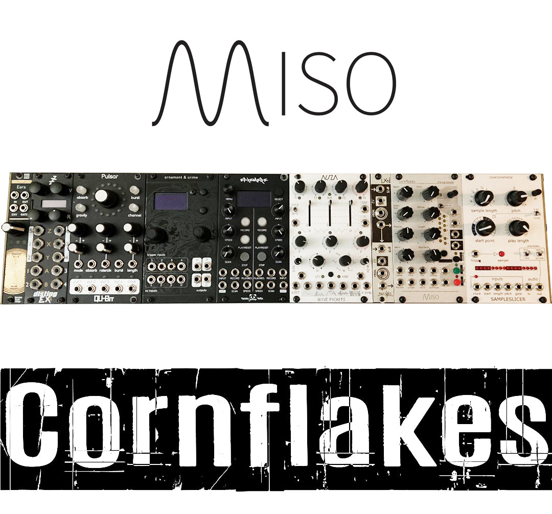 TEST SERIES Miso Modular Cornflakes Granular Stereo Sampler And Harmon ...