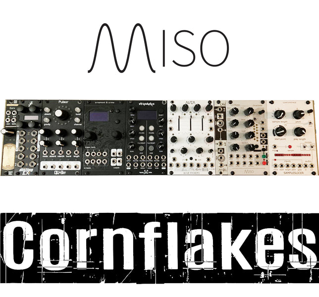 TEST SERIES Miso Modular Cornflakes Granular Stereo Sampler And Harmonizer